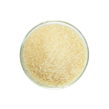Gelatin cho thạch
